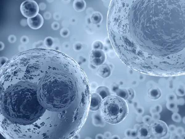 Phosphodiesterase inhibitors