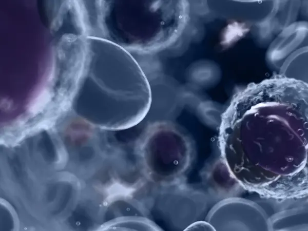 Checkpoint inhibitors