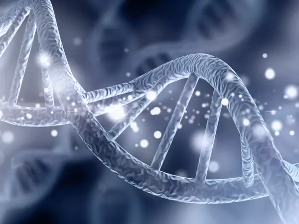 Hypomethylating agents