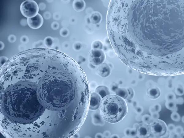 Phosphodiesterase inhibitors