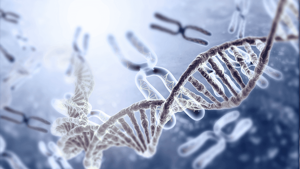 JAK2 driver mutations